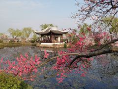 -无锡蠡湖国家湿地公园-蠡园