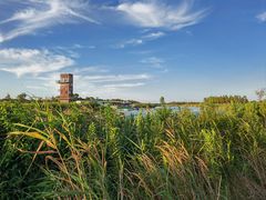 -春花秋色城市公园