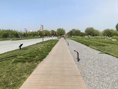 -汉长安城未央宫国家考古遗址公园