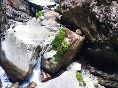 -鹿院坪生态旅游景区