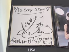 -Sony Store 索尼(上海淮海中路店)