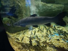 -成都浩海立方海洋公园