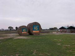 -嘉北郊野公园