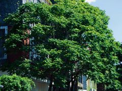 -海峡创意产业园