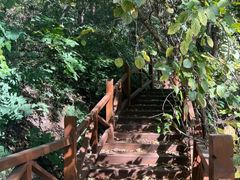 -大岭沟猕猴桃谷风景区