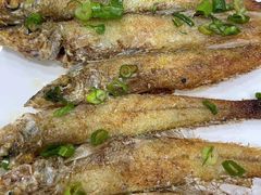 香煎沙尖鱼-惠来大排档(联创商业街店)