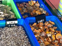 -七鲜渔港美食餐厅(巽寮湾海景店)