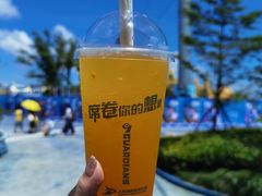 餐饮设施-上海海昌海洋公园