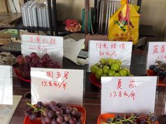 -马陆小张葡萄园农家乐