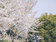 -苏州上方山国家森林公园