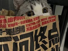 -肯德基(天津奥城店)