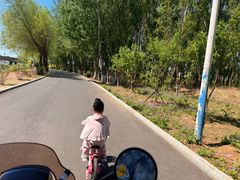 -丁香湖公园