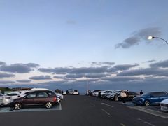 -涉地可支