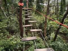 -芦仙山景区-飞越丛林探险乐园