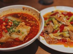 -向川南·水煮鱼·川菜(和平里店)