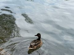 -水磨沟公园