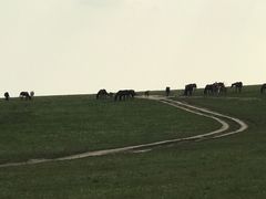 -塞罕坝国家级自然保护区