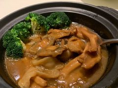 -皇朝会.经典传统粤菜(外滩店)