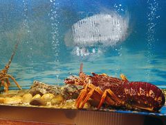 -西村日本料理(香格里拉饭店)