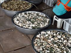 -双喜农庄·菌香园(安居家园店)