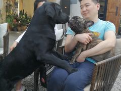 -云里小坐·小院里·团建·宴请·下午茶(三圣乡店)