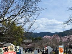 -醍醐寺