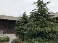 -河间府署