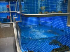 -贡宴盐帮菜自贡驻京联络处餐厅