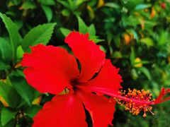 -三亚南山文化旅游区