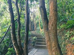 -梧桐山风景名胜区