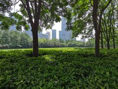 -陆家嘴中心绿地