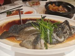 -万龙洲海鲜(南新仓店)