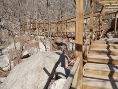 -大岭沟猕猴桃谷风景区