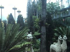 -东芭乐园