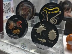 -半岛宠物医院24小时(白果林店)