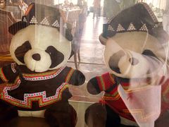 -阿斯牛牛·凉山菜(新会展店)