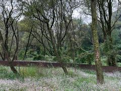 -西湖风景区-江洋畈生态公园