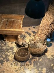 -未来动物城主题公园(正弘城店)