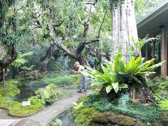 -Chom Cafe and Restaurant