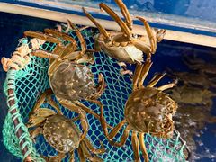 -阳澄湖大闸蟹·琼灵阁牌品牌连锁(吴中总店)