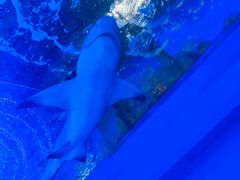 -常州海昌海洋探索馆