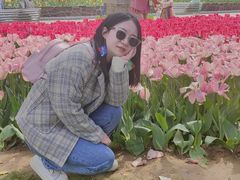 -洛阳郁金香牡丹园