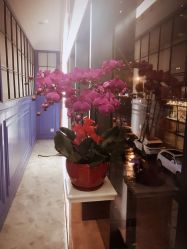 -佐登妮丝美容SPA生活馆