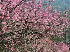 -天台山赤城山景区