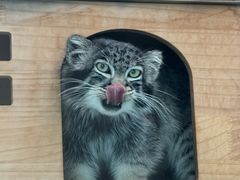 -青藏高原野生动物园