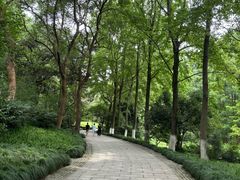 -杭州植物园