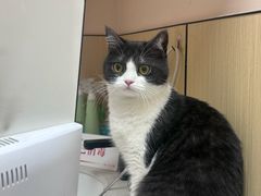 -瑞派蒂凯宠物医院·免疫点·宠保定点