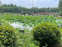 -渌洋湖湿地公园
