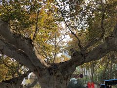-南京夫子庙石唯玉雨花石酒店