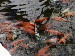 -东华门大街小区